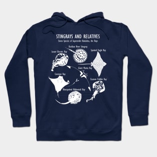 Stingray Species: Manta Ray, River Stingray, and More (in white) Hoodie